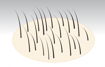 Hairatin-beautiful-hair